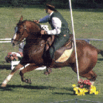 3 150x150 The Art of Classical Equitation