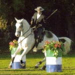 6 150x150 The Art of Classical Equitation