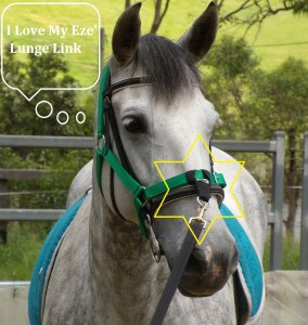 I love my Eze Lunge Link DSCN5206copya50pcnttestimage 284x300 The Sandford Ezy Lunge Attachment