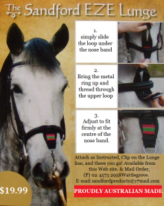 Sandford.Eze.Lunge.Link.Flyer Sandford.Eze .Lunge .Link .Flyer 239x300 The Sandford Ezy Lunge Attachment
