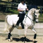 Roux 2010 001a 150x150 Working Equitation Kurrajong NSW 2012
